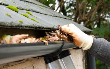 gutter cleaning Nether Clifton, Dumfries And Galloway